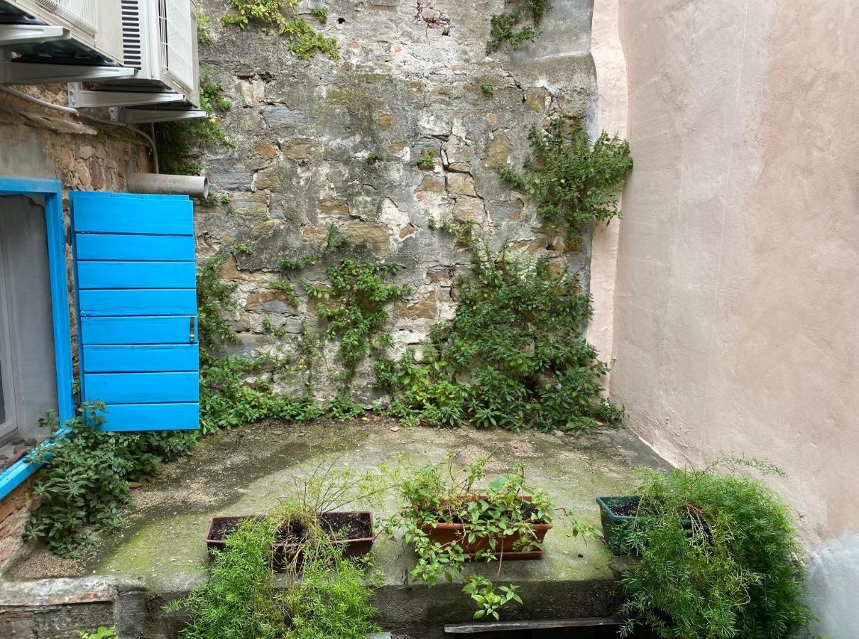 Apartma Reginamare Vela Piran