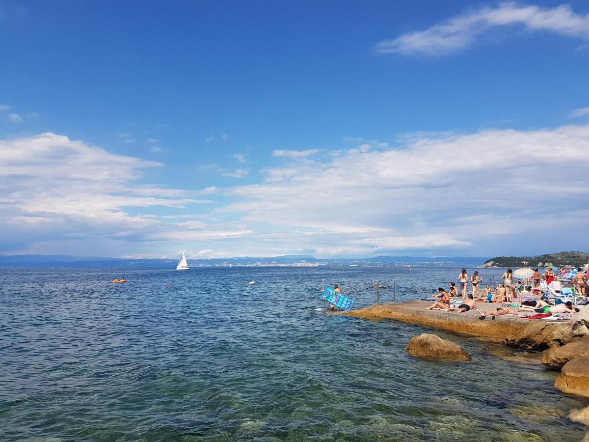 Apartma Reginamare Vela *